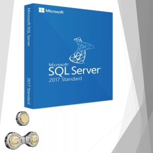 SQL Server Standard 2017, 1 PC, Permanente