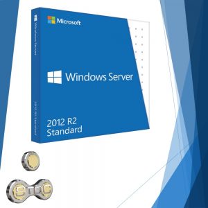 Windows Server 2012 R2 Standard 1 PC Permanente