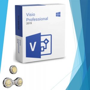 Visio Professional 2019 1 PC Permanente